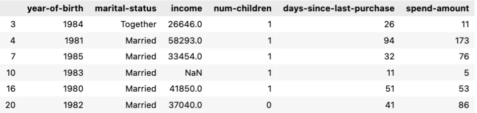 Full data for Young Families — Image by author
